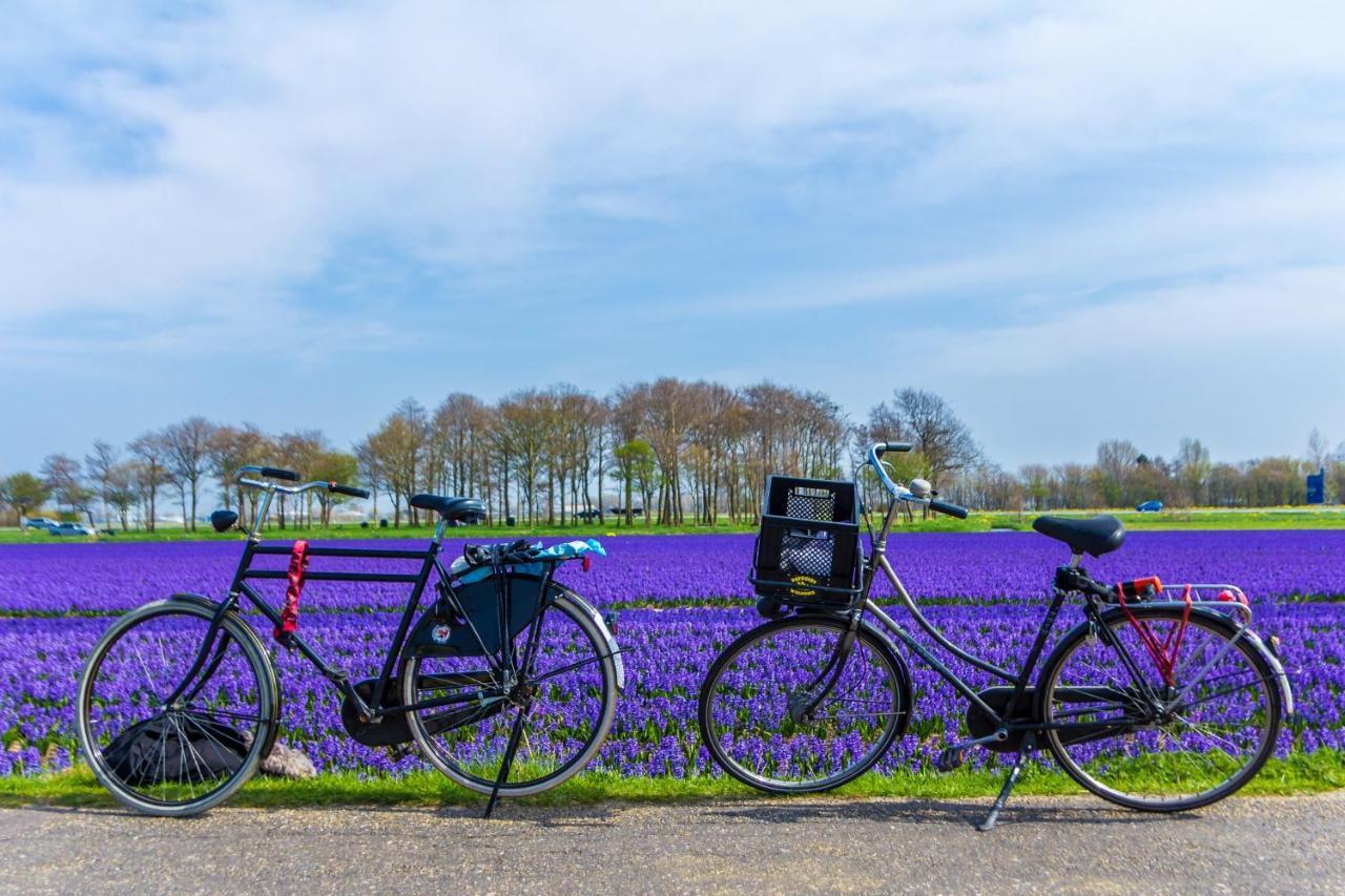 Slapen Bij De Buurvrouw Bed and Breakfast Castricum Eksteriør billede